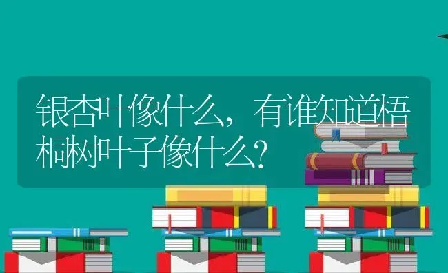 银杏叶像什么,有谁知道梧桐树叶子像什么？ | 养殖常见问题