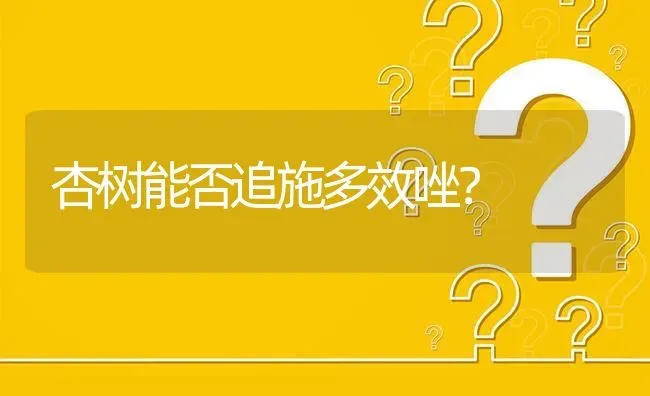 杏树能否追施多效唑? | 养殖问题解答