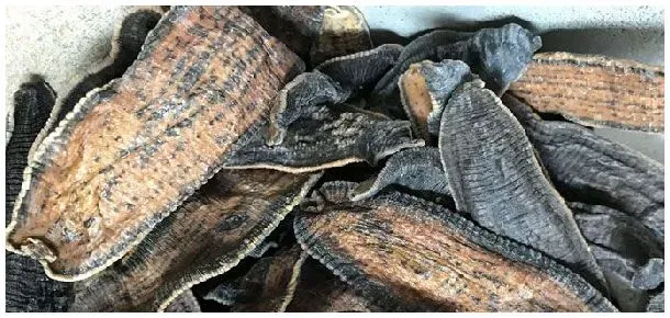 水蛭干品怎么区分好坏 | 农业答疑