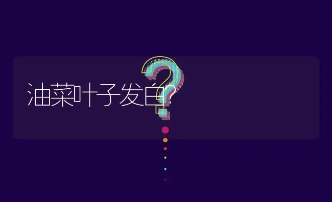 油菜叶子发白? | 养殖问题解答