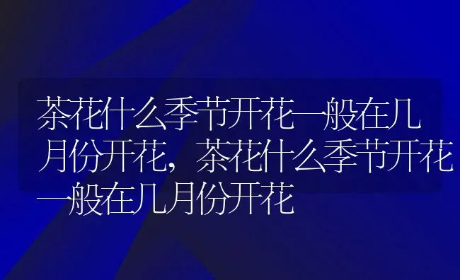 茶花什么季节开花一般在几月份开花,茶花什么季节开花一般在几月份开花 | 养殖常见问题