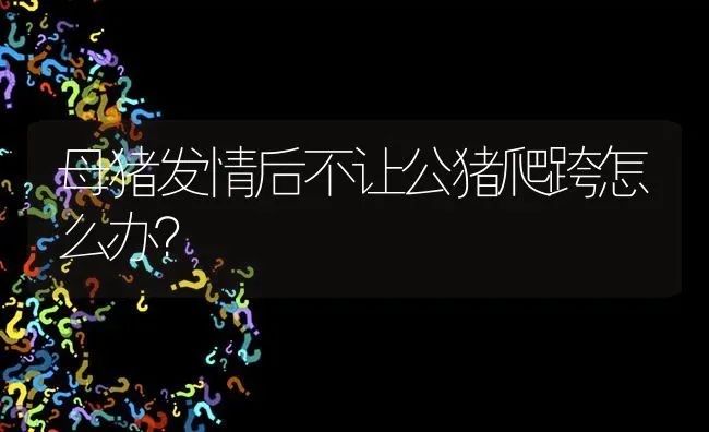 母猪发情后不让公猪爬跨怎么办? | 养殖问题解答