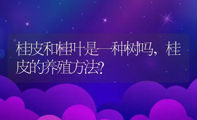 桂皮和桂叶是一种树吗,桂皮的养殖方法？ | 养殖常见问题