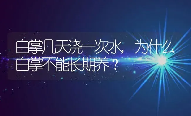 白掌几天浇一次水,为什么白掌不能长期养？ | 养殖常见问题