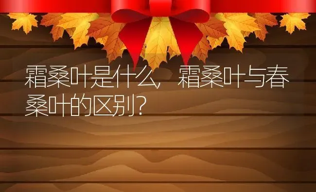 霜桑叶是什么,霜桑叶与春桑叶的区别？ | 养殖常见问题