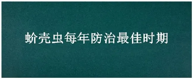 蚧壳虫每年防治最佳时期 | 农业问题