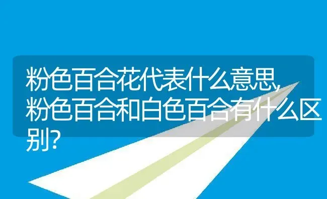 粉色百合花代表什么意思,粉色百合和白色百合有什么区别？ | 养殖常见问题