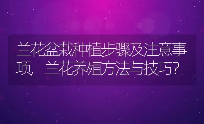 兰花盆栽种植步骤及注意事项,兰花养殖方法与技巧？ | 养殖常见问题