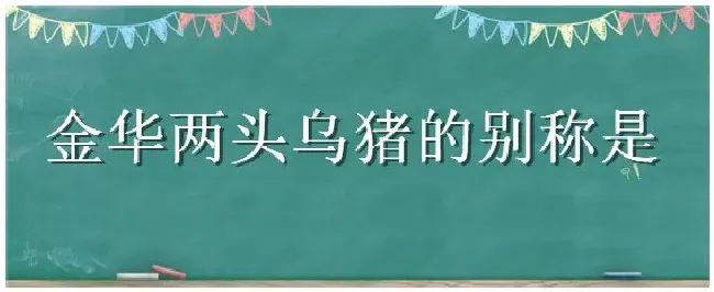 金华两头乌猪的别称是 | 农业问题