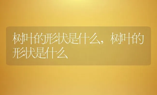 树叶的形状是什么,树叶的形状是什么 | 养殖常见问题