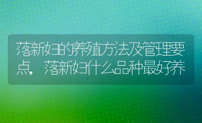 落新妇的养殖方法及管理要点,落新妇什么品种最好养 | 养殖常见问题