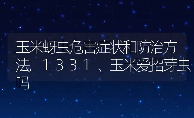 玉米蚜虫危害症状和防治方法,1331、玉米爱招芽虫吗 | 养殖常见问题