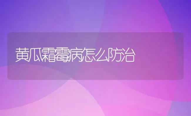 黄瓜霜霉病怎么防治 | 养殖常见问题