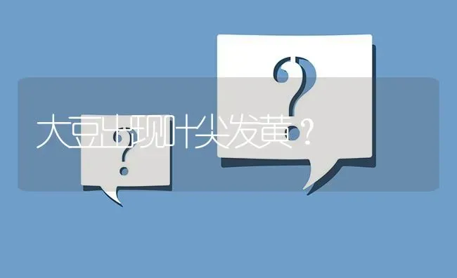 大豆出现叶尖发黄? | 养殖问题解答