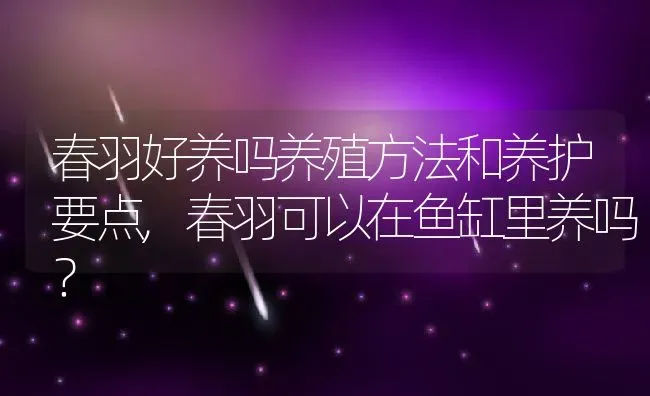 春羽好养吗养殖方法和养护要点,春羽可以在鱼缸里养吗？ | 养殖常见问题