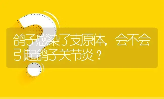 鸽子感染了支原体,会不会引起鸽子关节炎? | 养殖问题解答