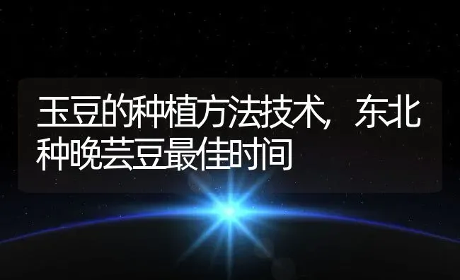 玉豆的种植方法技术,东北种晚芸豆最佳时间 | 养殖常见问题