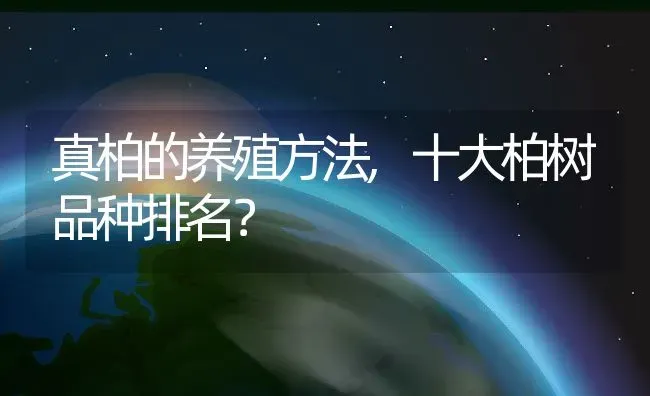 真柏的养殖方法,十大柏树品种排名？ | 养殖常见问题