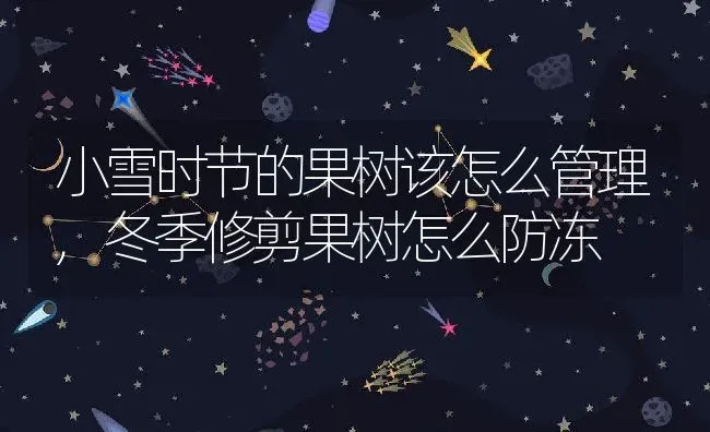 小雪时节的果树该怎么管理,冬季修剪果树怎么防冻 | 养殖常见问题