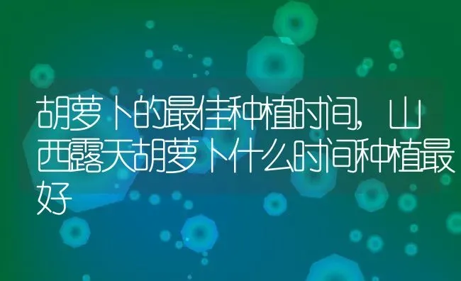 胡萝卜的最佳种植时间,山西露天胡萝卜什么时间种植最好 | 养殖常见问题