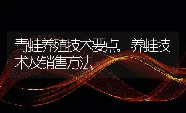 青蛙养殖技术要点,养蛙技术及销售方法 | 养殖常见问题