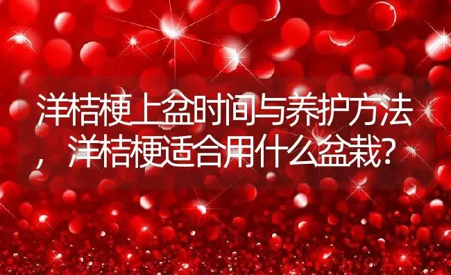 洋桔梗上盆时间与养护方法,洋桔梗适合用什么盆栽？ | 养殖常见问题