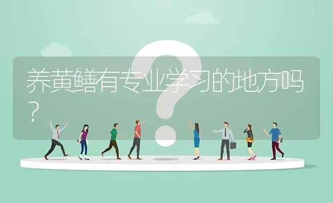 养黄鳝有专业学习的地方吗? | 养殖问题解答