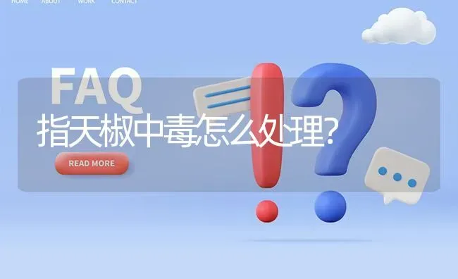 指天椒中毒怎么处理? | 养殖问题解答