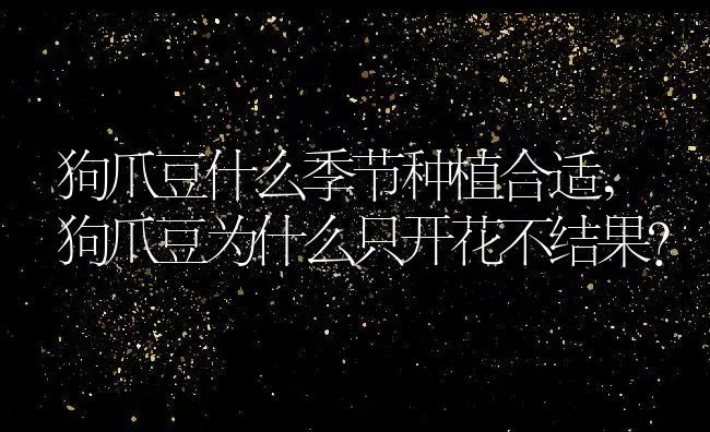 狗爪豆什么季节种植合适,狗爪豆为什么只开花不结果？ | 养殖常见问题