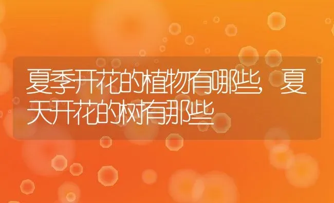 夏季开花的植物有哪些,夏天开花的树有那些 | 养殖常见问题