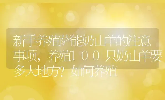 新手养殖萨能奶山羊的注意事项,养殖100只奶山羊要多大地方？如何养殖 | 养殖常见问题