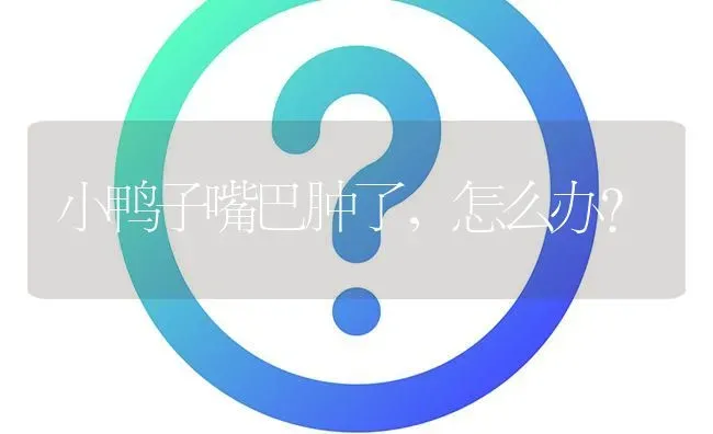 小鸭子嘴巴肿了,怎么办? | 养殖问题解答