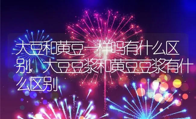 大豆和黄豆一样吗有什么区别,大豆豆浆和黄豆豆浆有什么区别 | 养殖常见问题