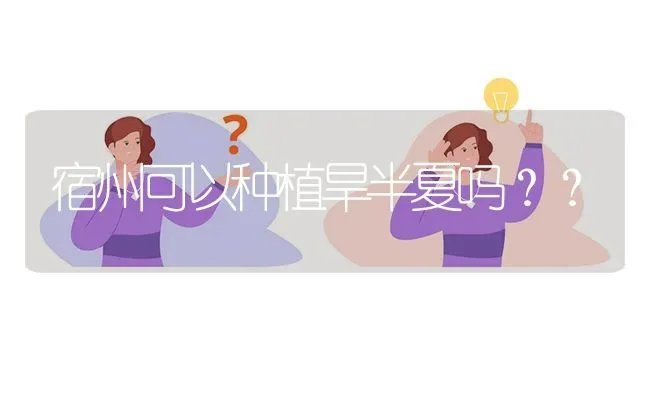 宿州可以种植旱半夏吗?? | 养殖问题解答