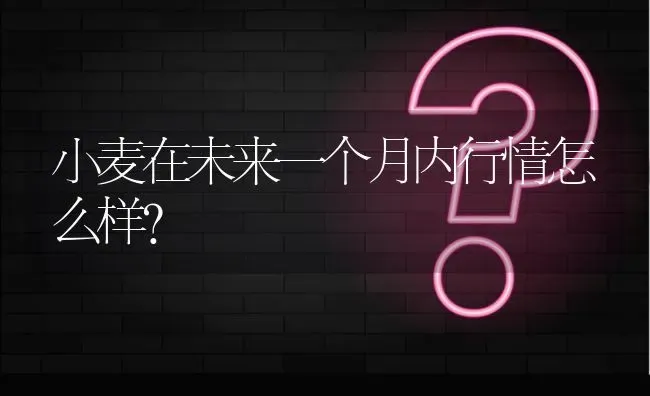 小麦在未来一个月内行情怎么样? | 养殖问题解答