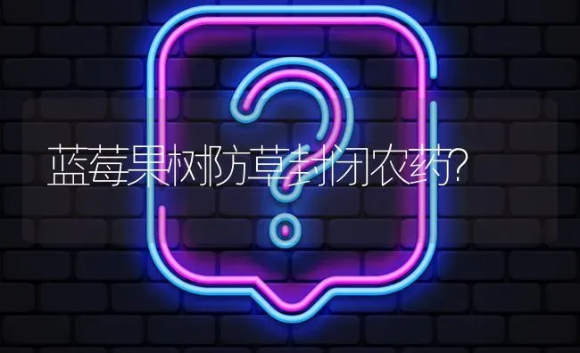 蓝莓果树防草封闭农药? | 养殖问题解答