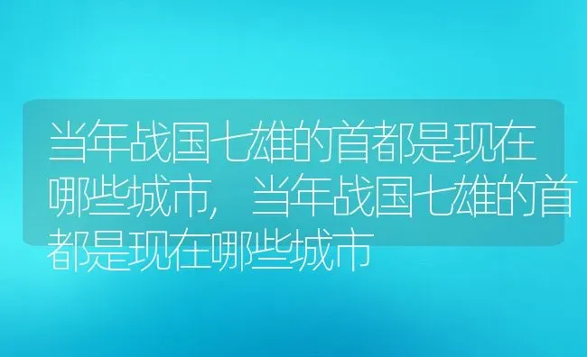 当年战国七雄的首都是现在哪些城市,当年战国七雄的首都是现在哪些城市 | 养殖常见问题