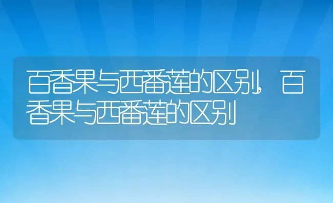 百香果与西番莲的区别,百香果与西番莲的区别 | 养殖常见问题