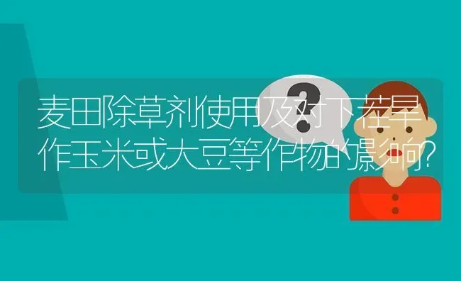 麦田除草剂使用及对下茬旱作玉米或大豆等作物的影响? | 养殖问题解答