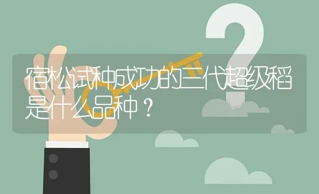 宿松试种成功的三代超级稻是什么品种? | 养殖问题解答