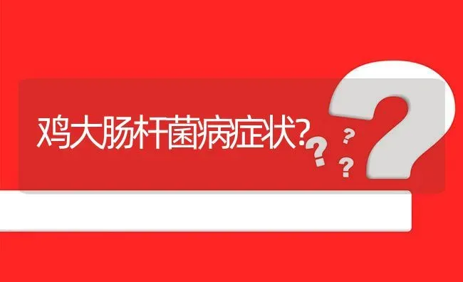 鸡大肠杆菌病症状? | 养殖问题解答