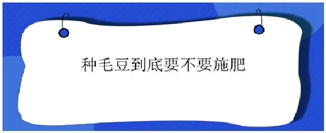 种毛豆到底要不要施肥 | 农业答疑