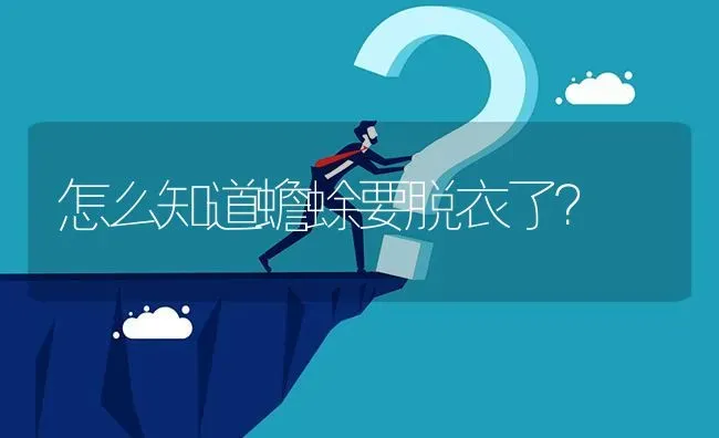 怎么知道蟾蜍要脱衣了? | 养殖问题解答