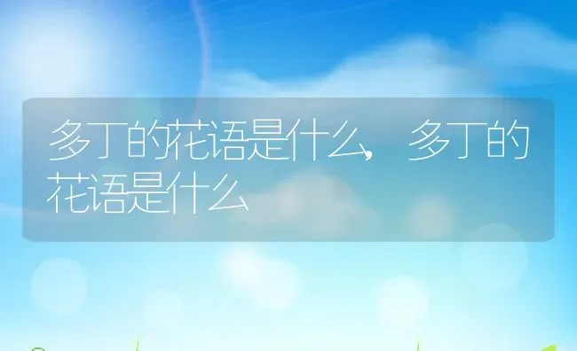 多丁的花语是什么,多丁的花语是什么 | 养殖常见问题