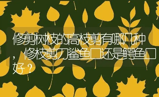 修剪树枝的高枝剪有哪几种,修枝剪刀鲨鱼口还是鳄鱼口好？ | 养殖常见问题