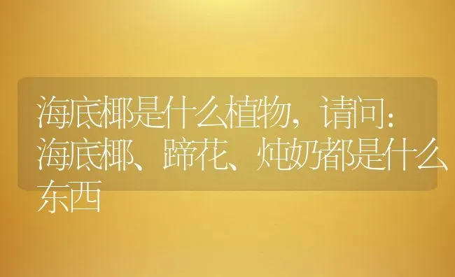 海底椰是什么植物,请问：海底椰、蹄花、炖奶都是什么东西 | 养殖常见问题