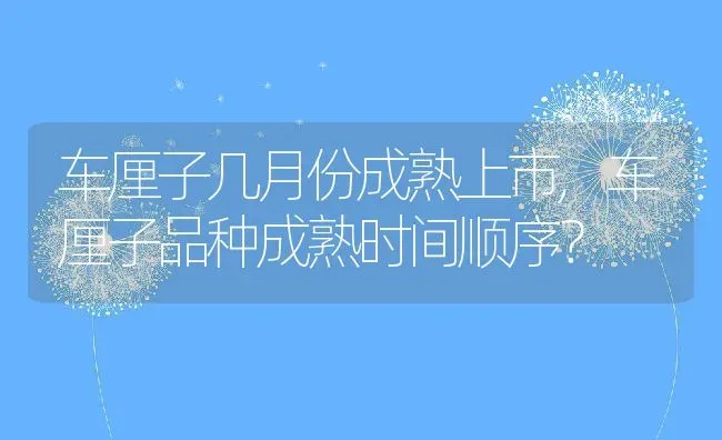 车厘子几月份成熟上市,车厘子品种成熟时间顺序？ | 养殖常见问题