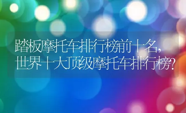 大黄花象征着什么,故事的大黄花什么意思？ | 养殖常见问题