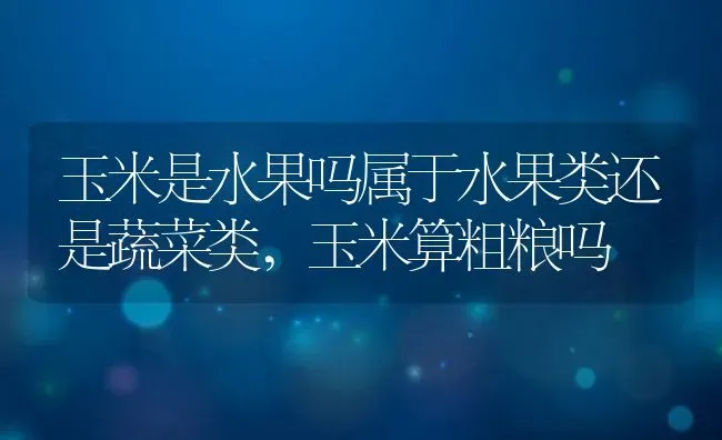 玉米是水果吗属于水果类还是蔬菜类,玉米算粗粮吗 | 养殖常见问题