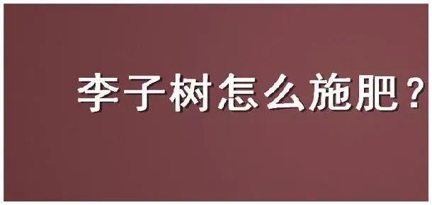 李子树怎么施肥 | 三农答疑